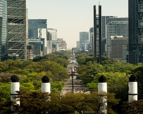 A green urban park environment representing public spaces like Chapultepec for soft walks